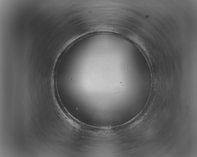 X0000073831133200608240944