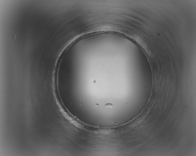 X0000073831134200608240944