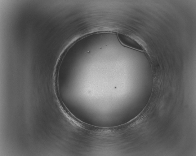 X0000073831135200608240944