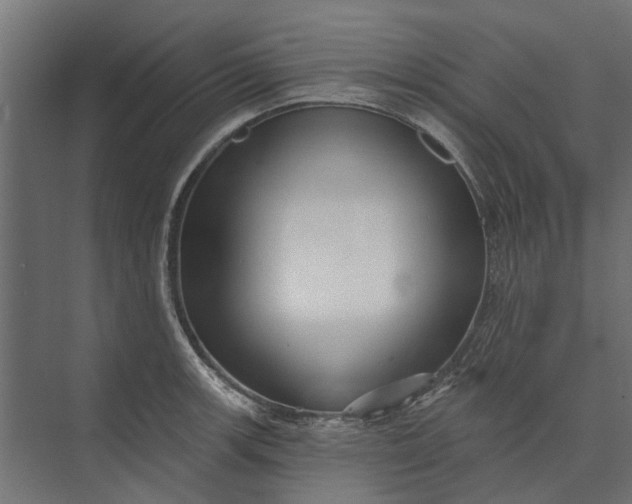 X0000073831139200608240944