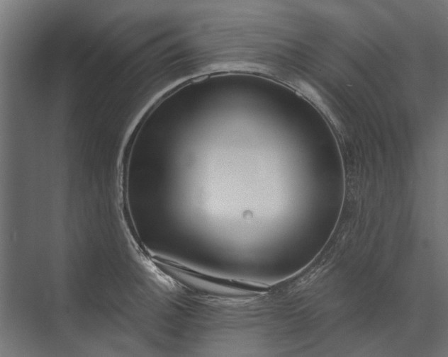 X0000073831140200608240944