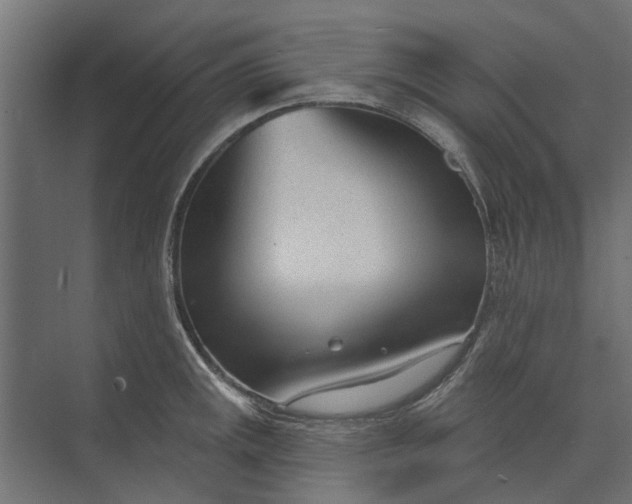 X0000073831141200608240944