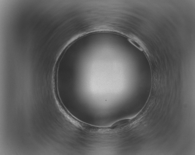 X0000073831142200608240944