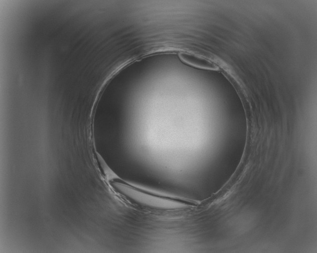 X0000073831145200608240944