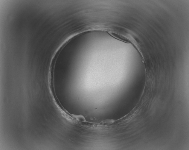 X0000073831147200608240944