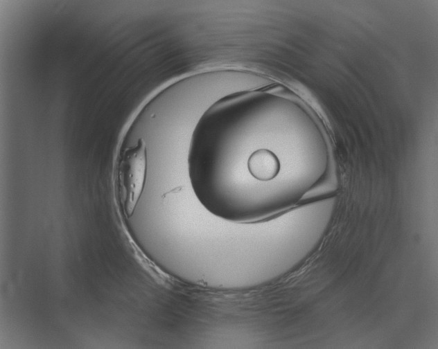 X0000073831148200608240944