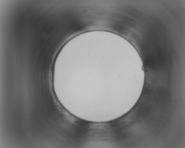 X0000073831150200608240944