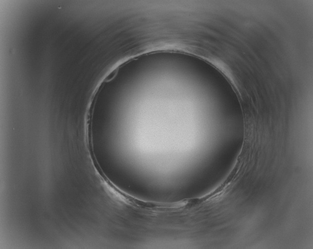 X0000073831151200608240944