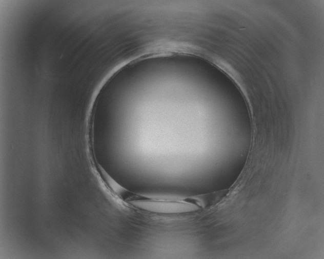 X0000073831152200608240944