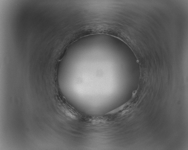 X0000073831153200608240943