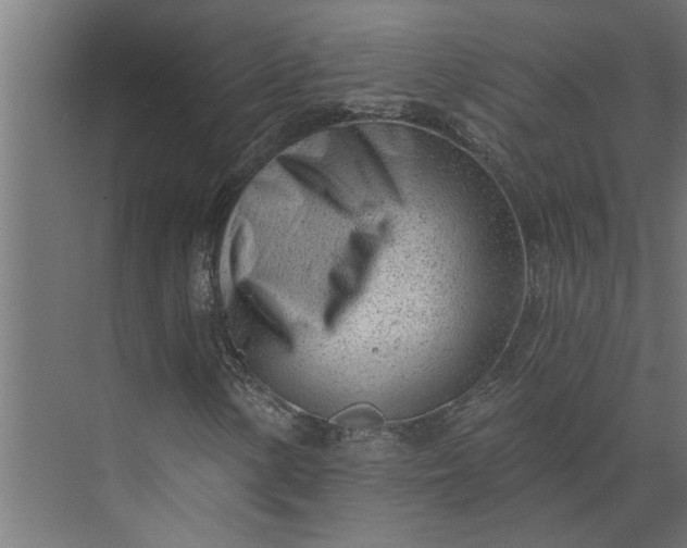 X0000073831154200608240943