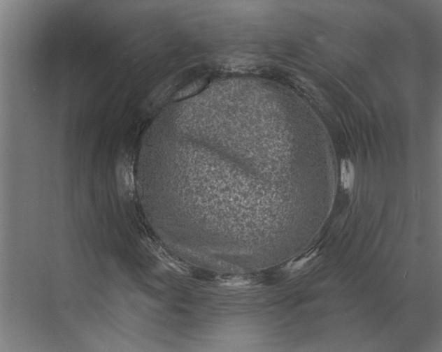 X0000073831155200608240943