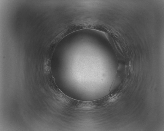 X0000073831156200608240943