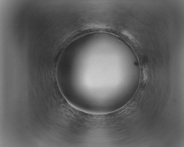 X0000073831157200608240943