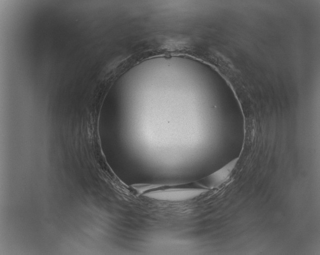 X0000073831158200608240943