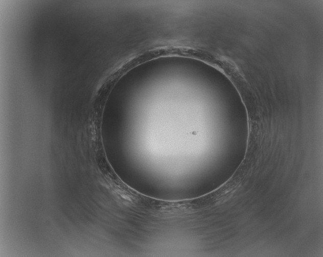 X0000073831159200608240943