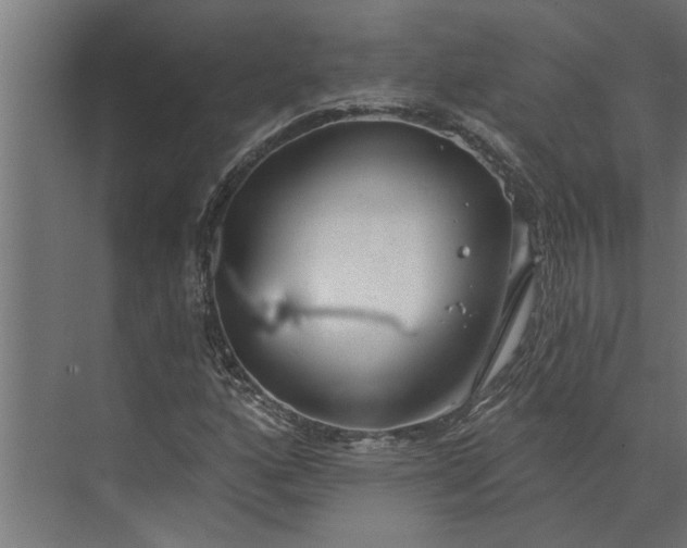 X0000073831160200608240943