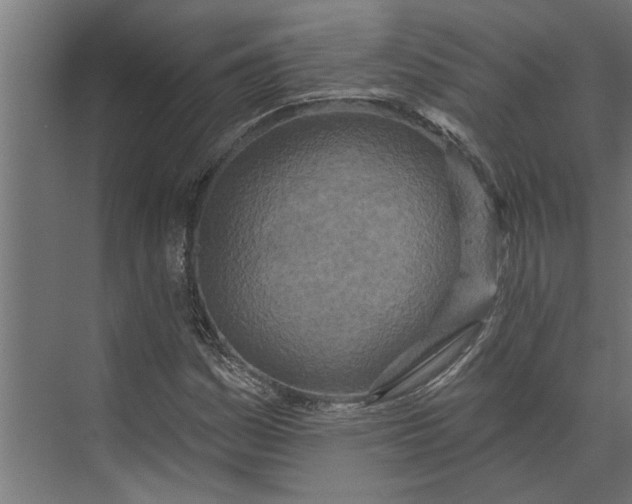 X0000073831161200608240943