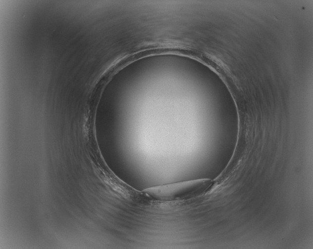 X0000073831163200608240943