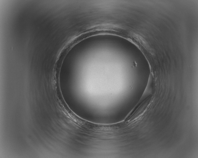 X0000073831164200608240943