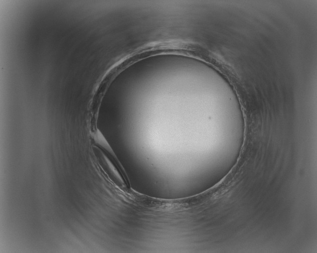 X0000073831166200608240943