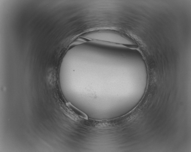 X0000073831169200608240943