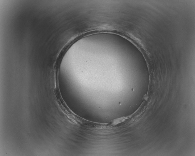 X0000073831171200608240943