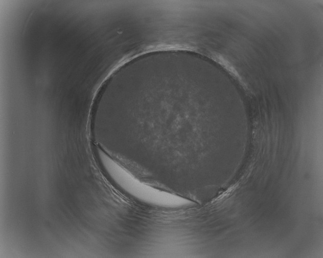 X0000073831173200608240943