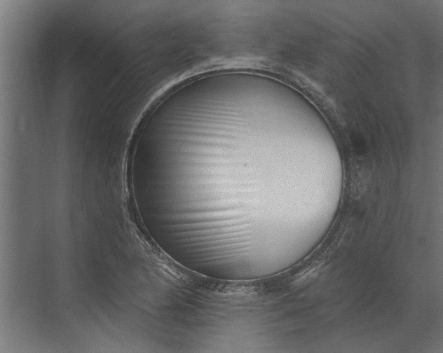 X0000073831174200608240943