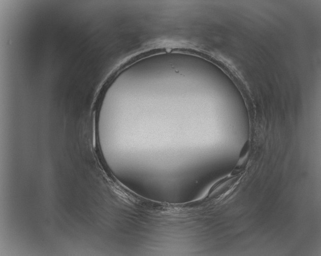 X0000073831175200608240943