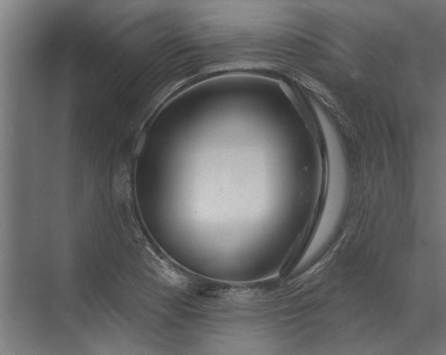 X0000073831177200608240943