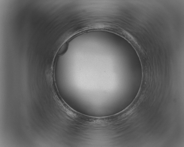 X0000073831178200608240943