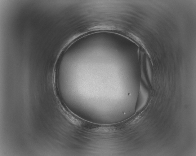 X0000073831179200608240943