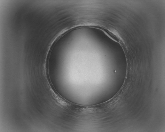 X0000073831181200608240943