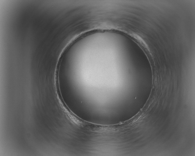 X0000073831183200608240943