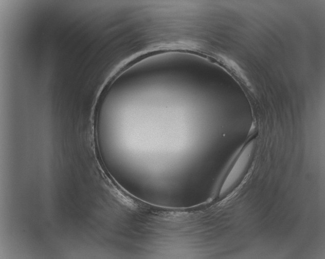 X0000073831184200608240943