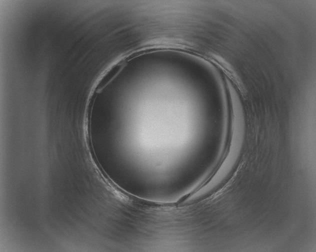 X0000073831188200608240943