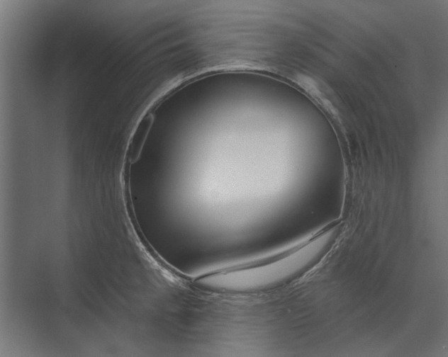 X0000073831189200608240943