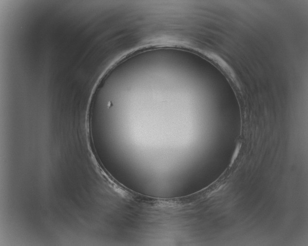 X0000073831191200608240943