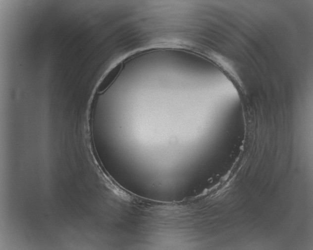 X0000073831192200608240943