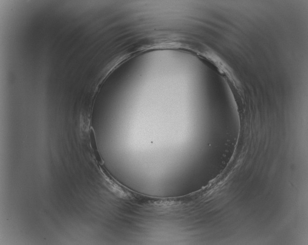 X0000073831193200608240943