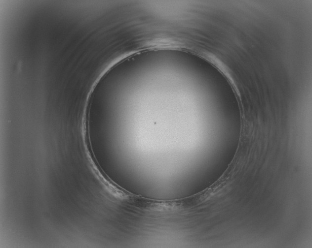 X0000073831195200608240943