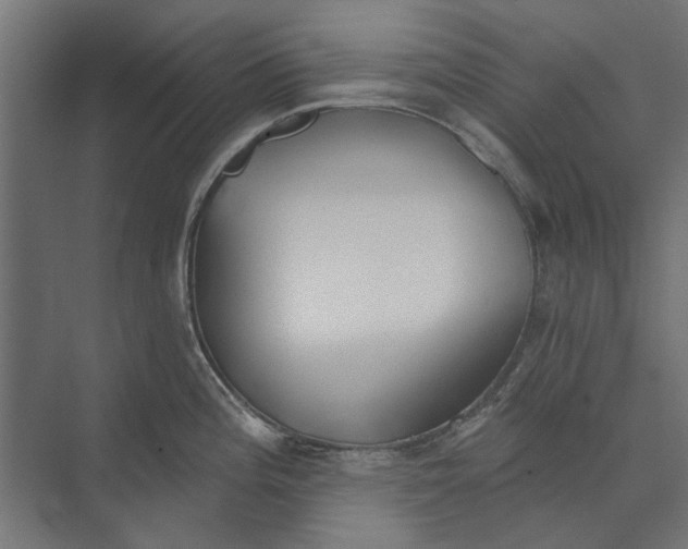 X0000073831196200608240943