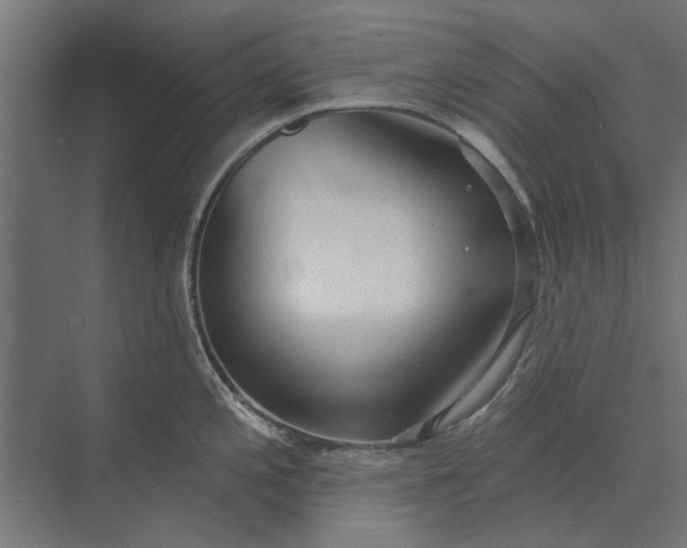 X0000073831197200608240943