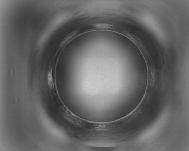 X0000073831198200608240943