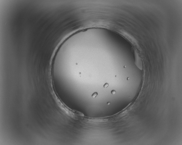 X0000073831200200608240943