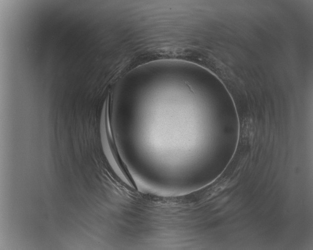 X0000073831202200608240942