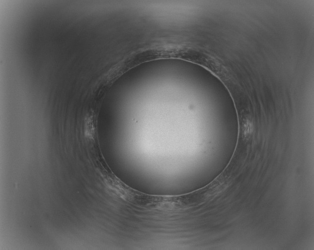 X0000073831204200608240942