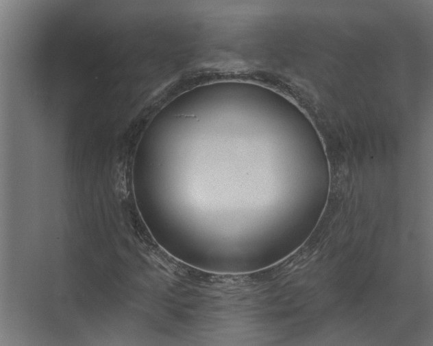 X0000073831205200608240942