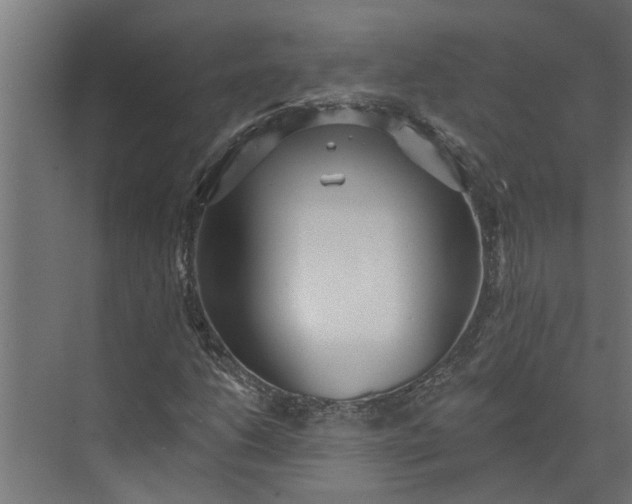 X0000073831206200608240942